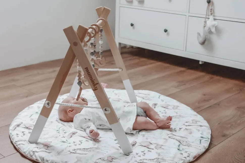 Zabawki - Zawieszki Do Stojaka Gimnastycznego Baby Gym
